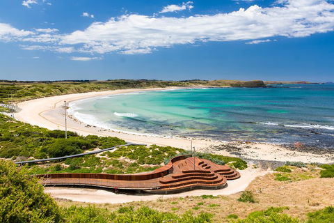 Phillip Island Penguin Parade, Brighton Bathing Boxes And Wildlife Park Tour - Darwin Holiday 6