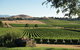 Small Group 6 Guests: Ultimate Yarra Valley Food And Wine - Mercedes Van - thumb 5