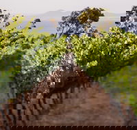 Helicopter Winery  Lunch Tour - Darwin Holiday