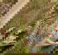 Group Tour Phillip Island Penguin Parade Ultimate Eco Tour  Lunch - Darwin Holiday