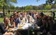 Yarra Valley Wine Tour Including Lunch - thumb 1