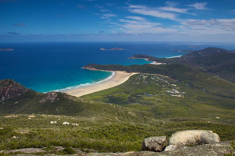 Wilson\'s Promontory & Phillip Island - \'Prom & Penguins\' Tour - Darwin Holiday 2