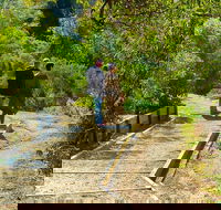 Surfcoast walk  exploration from Melbourne - Darwin Holiday