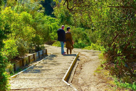 Surfcoast Walk & Exploration From Melbourne - Darwin Holiday 0