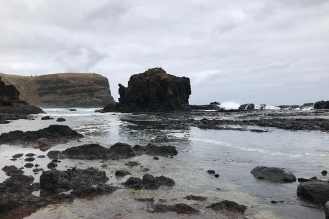 Explore Mornington Peninsula Incl. Bushrangers Bay With Organic Conservation(PT) - Darwin Holiday 1