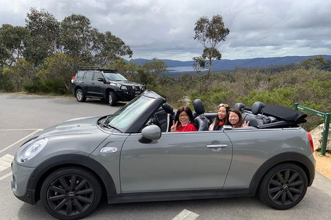 Yarra Valley Winery Tour In A Luxury Vehicle - Darwin Holiday 5