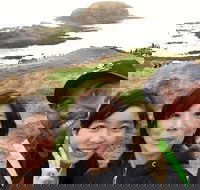 Phillip island  Penguin Parade - Darwin Holiday