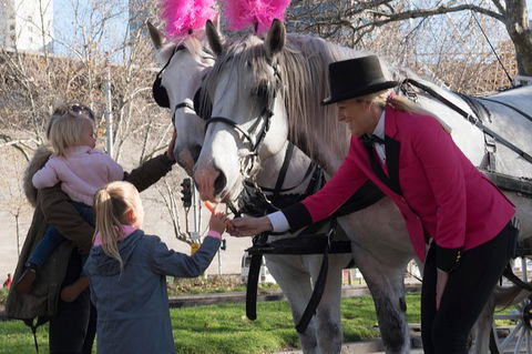 Melbourne Horse Drawn Carriages 1 Hour City And Garden - Darwin Holiday 1