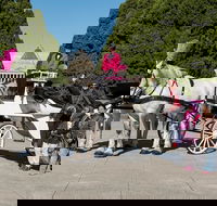 Melbourne Horse Drawn Carriages 1 Hour City and Garden - Darwin Holiday