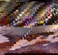 Mornington Peninsula Winery Tour Including Wine Tastings and 2-Course Lunch - Darwin Holiday