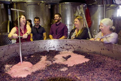 Mornington Peninsula Winery Tour Including Wine Tastings And 2-Course Lunch - Darwin Holiday 2