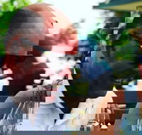 Mornington Peninsula Wine Region Tour - Darwin Holiday