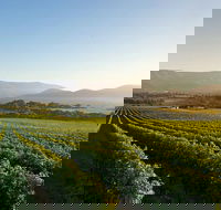 Small-Group Guided Yarra Valley Winery Tour with Wine Tasting - Darwin Holiday