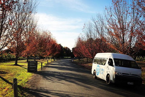 Small-Group Guided Yarra Valley Winery Tour With Wine Tasting - Darwin Holiday 13