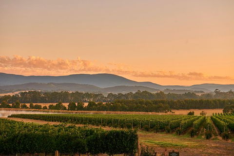 Yarra Valley Overnight Getaway And Private Wine Tour - For 2 - Darwin Holiday 8