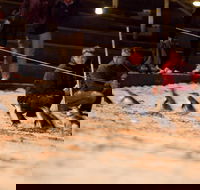 Phillip Island Medium Size Group Tour - Darwin Holiday