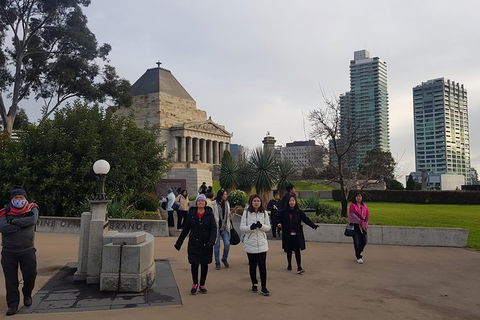 Melbourne Sights & Sounds Private Tour - Darwin Holiday 31