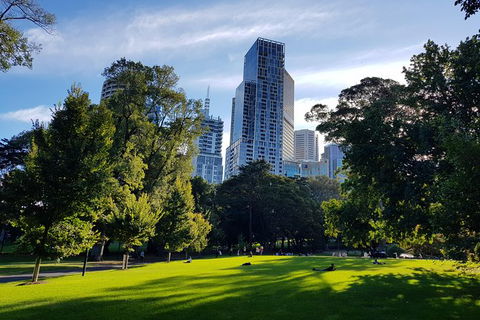 Melbourne Sights & Sounds Private Tour - Darwin Holiday 33