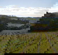 Yarra Valley Winery Private Tour - Darwin Holiday