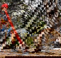 Bellarine Peninsula Sightseeing and Bay Cruise - Darwin Holiday