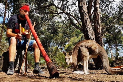 Bellarine Peninsula Sightseeing And Bay Cruise - Darwin Holiday 2