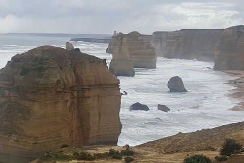 Luxury Private Day Tours (Great Ocean Rd, Phillip Island ,Yarra Valley) - Darwin Holiday 0