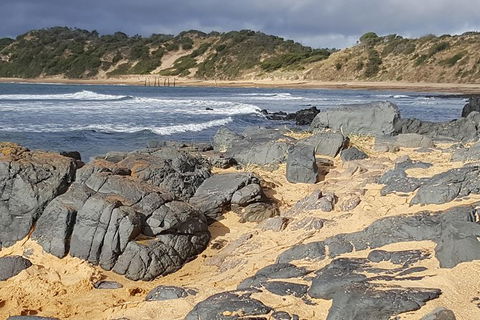 Luxury Private Day Tours (Great Ocean Rd, Phillip Island ,Yarra Valley) - Darwin Holiday 1