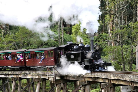 Dandenong Ranges & Puffing Billy - Darwin Holiday 0