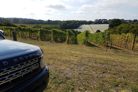 Mornington Peninsula Tour - Darwin Holiday 1