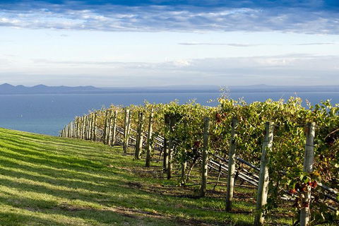 Around The Bay Food And Wine Taste Trail - Darwin Holiday 5