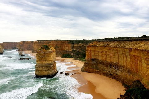 Ultimate Reverse Direction - 12 Apostles, Great Ocean Road - Small Group Tour - Darwin Holiday 5