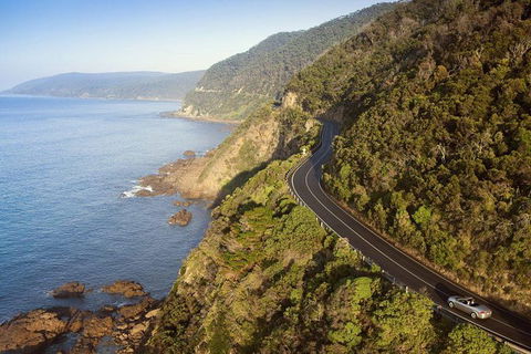 Ultimate Reverse Direction - 12 Apostles, Great Ocean Road - Small Group Tour - Darwin Holiday 10