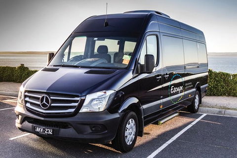 Ultimate Reverse Direction - 12 Apostles, Great Ocean Road - Small Group Tour - Darwin Holiday 4