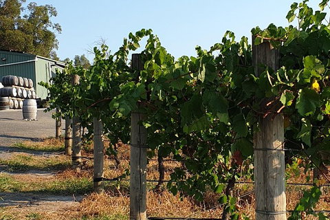 Wine Tasting Tour In The Yarra Valley - Darwin Holiday 0