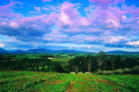 CHEVY CONVERTIBLE Package For 4 -Wine Lunch Cheese & Chocolate From Yarra Valley - Darwin Holiday 7