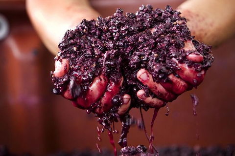 CHEVY CONVERTIBLE Package For 4 -Wine Lunch Cheese & Chocolate From Yarra Valley - Darwin Holiday 5