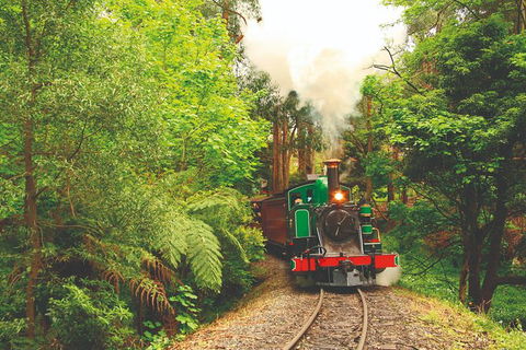 Half Day Puffing Billy Train Journey From Melbourne - Darwin Holiday 2