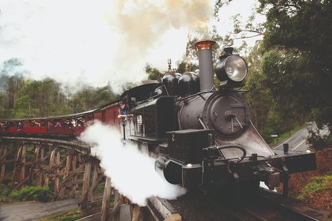 Half Day Puffing Billy Train Journey From Melbourne - Darwin Holiday 3