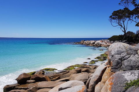Tasmania 6 Day \'Tour In Circle\' - Darwin Holiday 4