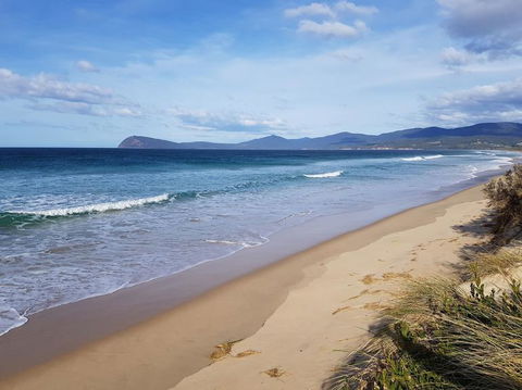 Bruny Island All Inclusive Gourmet Day Trip From Hobart - Darwin Holiday 6