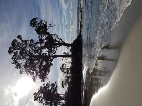 Bruny Island All Inclusive Gourmet Day Trip From Hobart - Darwin Holiday 5