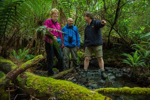 Bruny Island All Inclusive Gourmet Day Trip From Hobart - Darwin Holiday 28
