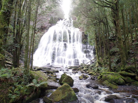 5-Day Best Of Tasmania Tour From Hobart - Darwin Holiday 2