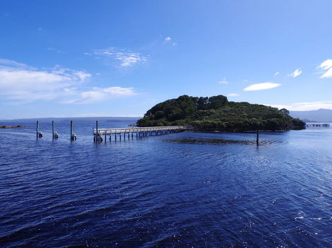 5-Day Best Of Tasmania Tour From Hobart - Darwin Holiday 4