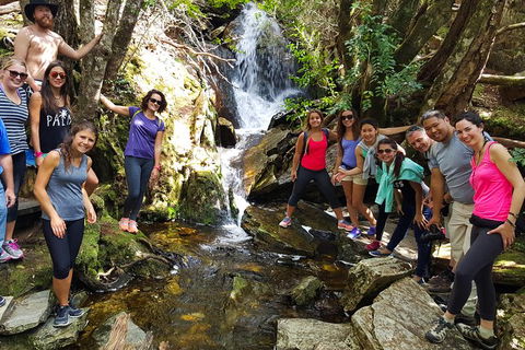 5-Day Best Of Tasmania Tour From Hobart - Darwin Holiday 9