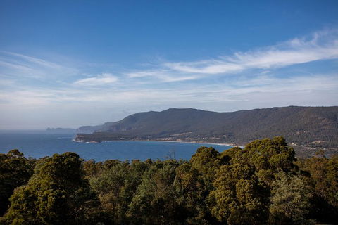 Port Arthur And Tassie Devils Active Day Tour From Hobart - Darwin Holiday 4