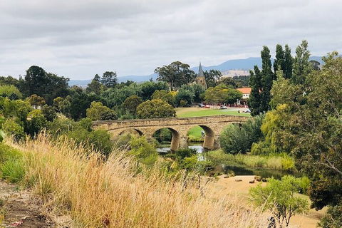 Day Tour In Mt. Field, Mt. Wellington, Bonorong Wildlife Sanctuary And Richmond - Darwin Holiday 6
