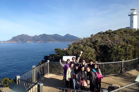 Wineglass Bay And Freycinet National Park Active Day Trip From Hobart - Darwin Holiday 1