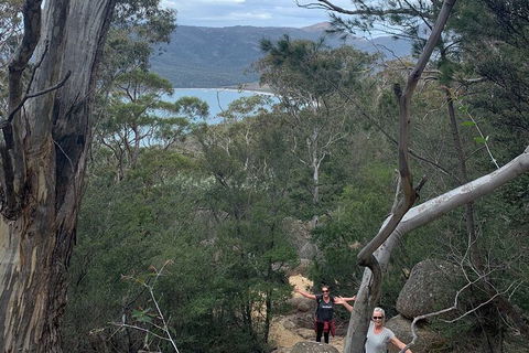 Wineglass Bay And Freycinet National Park Active Day Trip From Hobart - Darwin Holiday 14