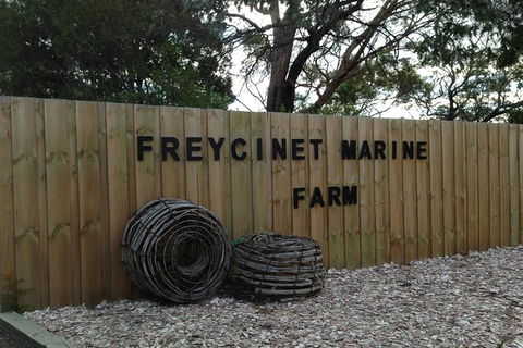 Wineglass Bay And Freycinet National Park Active Day Trip From Hobart - Darwin Holiday 20